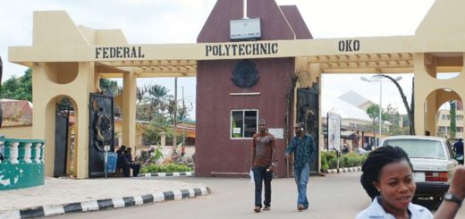 updated-list-of-courses-offered-in-futo-faculties-courses-o3schools