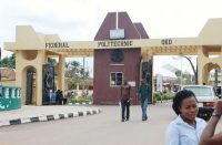 List Of Courses Offered In Federal Polytechnic, Oko