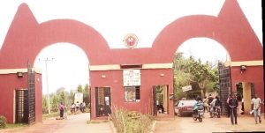 List of Courses Offered In AUCHIPOLY