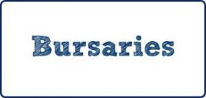 Business Related Bursaries for South Africans