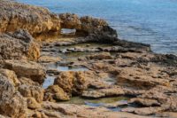 Universities Offering Geology, o3schools
