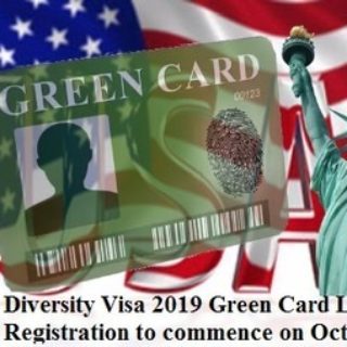 US Diversity Visa Lottery Application Form 2024 2025 Complete Guide   US Diversity Visa Lottery O3schools 320x320 