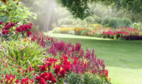 How To Maintain Your Garden