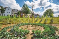 How You Can Become A Farmer While On Your Bed