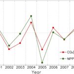 Elevated Carbon dioxide Level And Plant Productivity