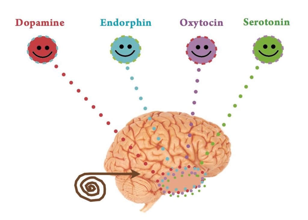 endorphins-chemicals-in-charge-of-your-happiness