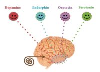 Endorphins - Chemicals In Charge Of Your Happiness