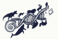 Evolution Involves Everyone