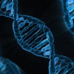 How Can Scientists “See” DNA