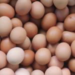 Salmonella And Chicken Eggs