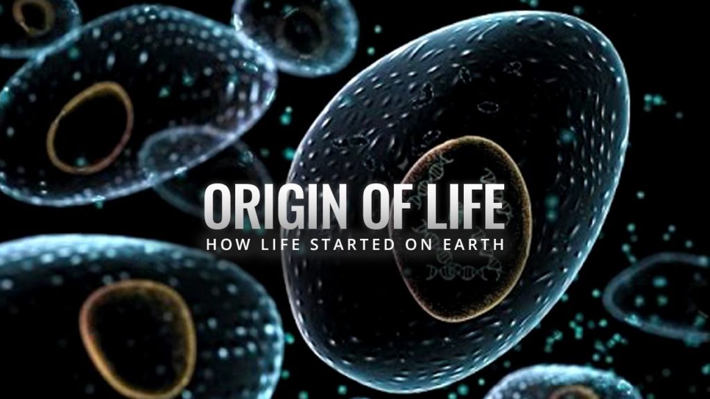 Theories On The Origin Of Life | Origin Of Life Evolution