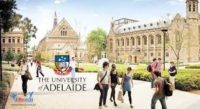 University Of Adelaide Global Citizens Scholarship For International Students In Australia