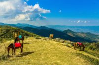 Undergraduate Scholarships For Students Of Asian Countries In Thailand
