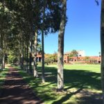Curtin ATN-South American PhD Research Scholarships In Australia
