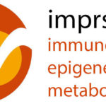 IMPRS-IEM PhD Fellowship Program For International Students In Germany