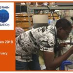 IBRO African Regional Committee Research Bursaries For African Researchers
