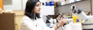 International Doctoral Training Scholarships For Indian Graduates At University Of Warwick In UK