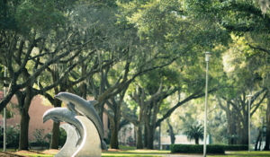 Jacksonville University Tuition, Scholarship & Cost of Living