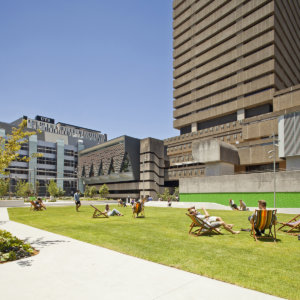 Ross Milbourne Elite Rower Scholarship at University of Technology Sydney, Australia