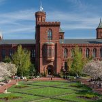 Smithsonian EEHV Laboratory Summer Internship-qPCR