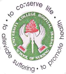 UCH Ibadan School of Nursing Admission Form