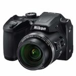 Nikon International Small World Contest for Photomicrographers