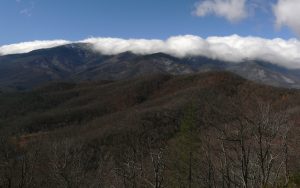 Black Mountain Bursary