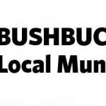 Bushbuckridge Local Municipality Bursary