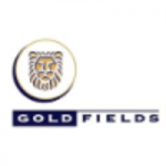 Gold Fields Ltd Bursary