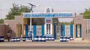 unimaid postgraduate application form 2022/2023, unimaid postgraduate courses, school of postgraduate studies, university of maiduguri maiduguri, university of maiduguri portal, unimaid online, university of maiduguri admission status, unimaid postgraduate form 2022, unimaid latest news, UNIMAID Postgraduate Admission Form 2022/2023 Out | How To Apply Easily