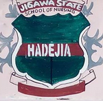College of Nursing Hadejia Admission Form