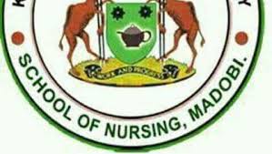 Kano State School Of Nursing Kano & Madobi Form