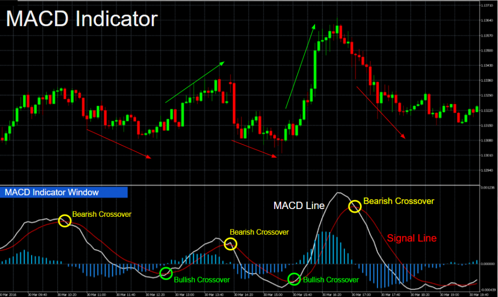 Guide to Using MACD Indicator for Trading