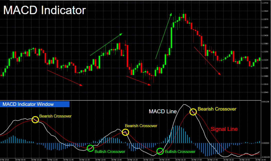 rsi and macd indicators