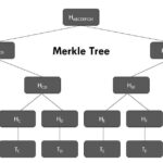 Merkle Trees and Merkle Roots