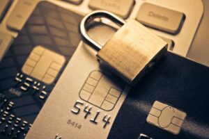 Different Ways to Secure the Digital Wallet from Cyber-criminals