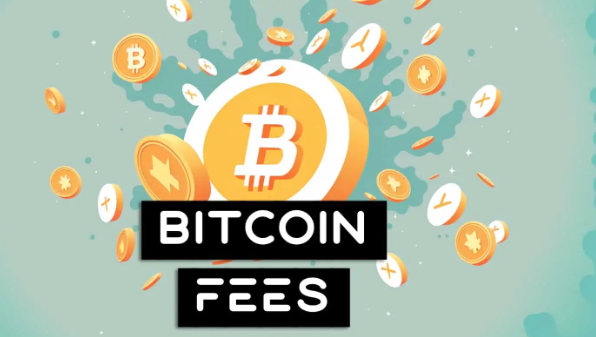 Can Reducing Bitcoin Transaction Costs Foster Greater Adoption?