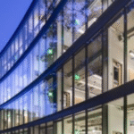 Best Biology Colleges in the U.S