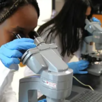 Top Middle Schools in North Carolina for STEM Education