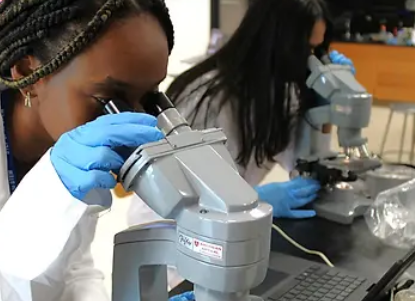 Top Middle Schools in North Carolina for STEM Education