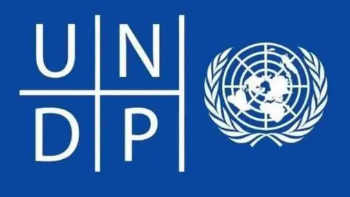 UNDP Summer Internship